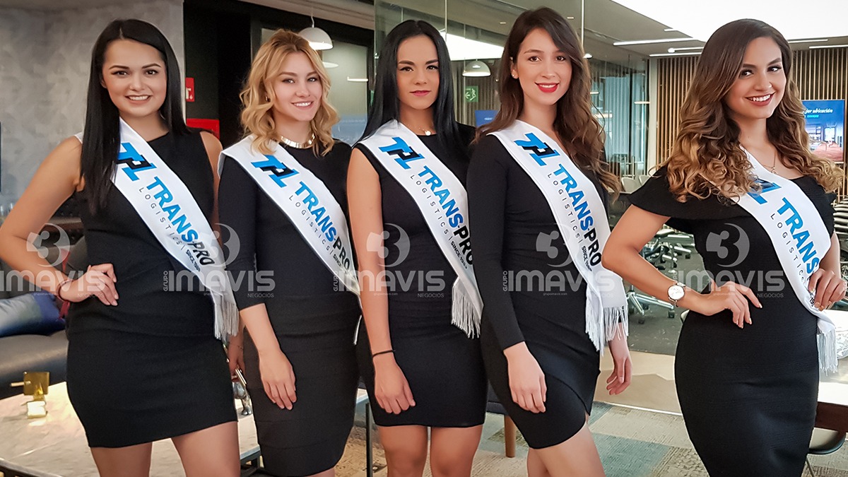 IMAVIS Agencia